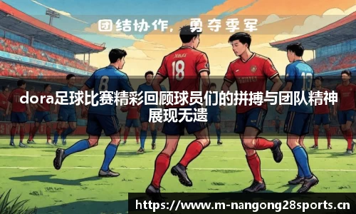 ng28体育平台