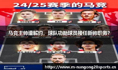 ng28体育