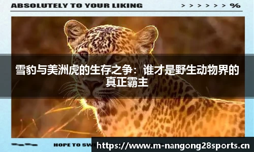ng28体育平台