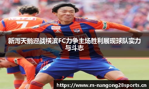 ng28体育平台
