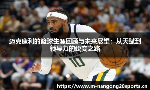 ng28体育平台