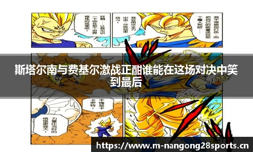 斯塔尔南与费基尔激战正酣谁能在这场对决中笑到最后