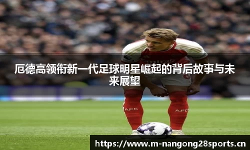 ng28体育平台